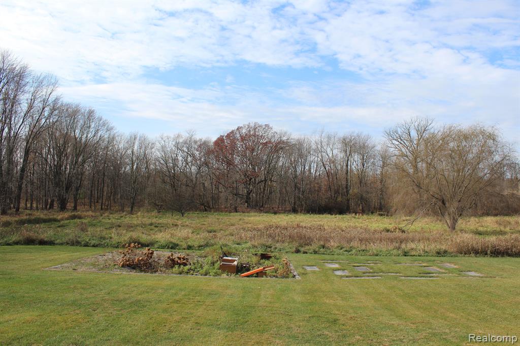 1228 Elliott Road, Fowlerville, MI 48836 — Photo 7