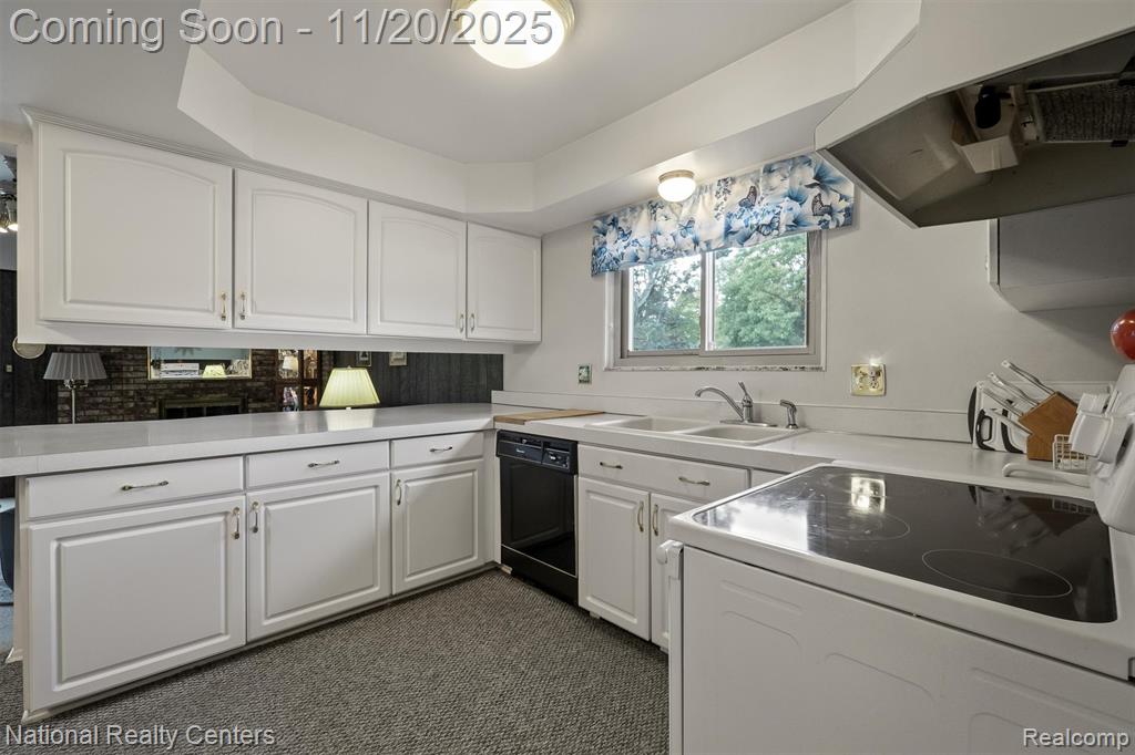 7339 Parkway Court, Canton, MI 48187 — Photo 21