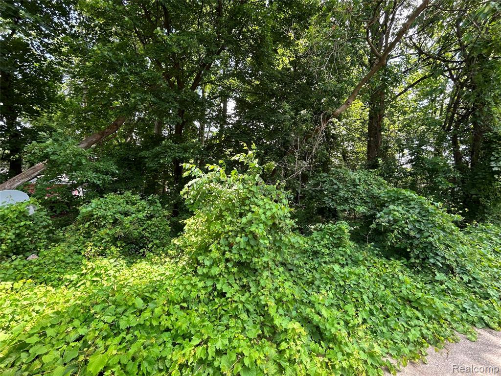 505 S Telegraph Road, Dearborn, MI 48124 — Photo 2