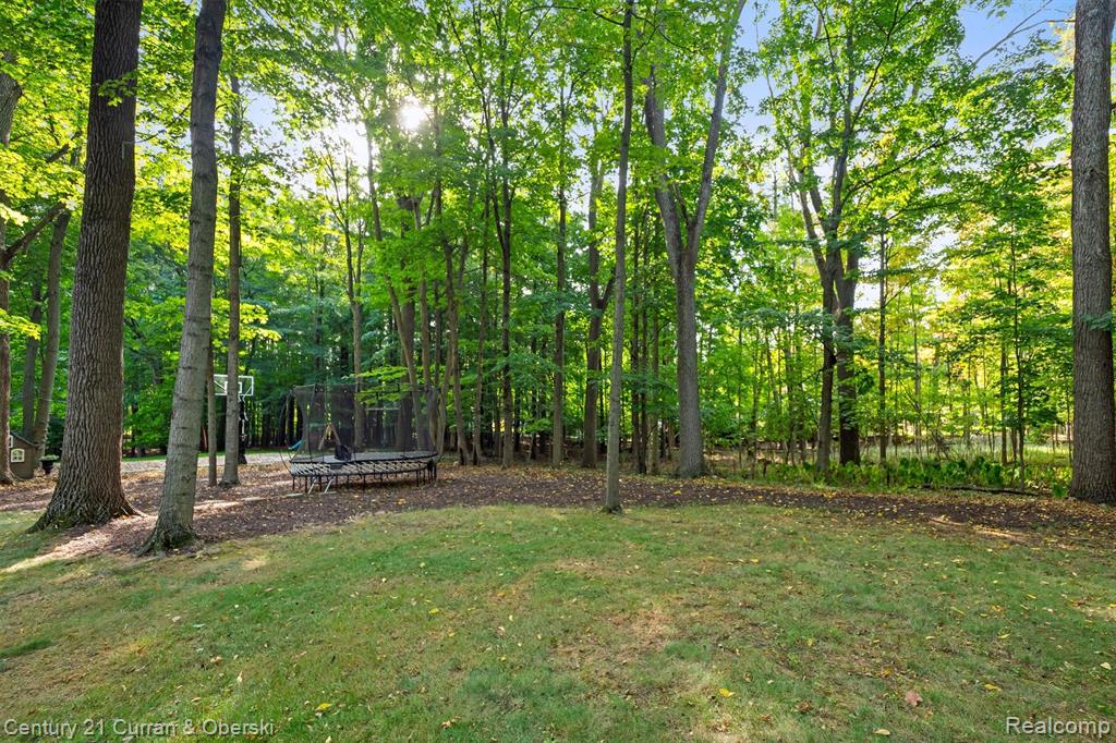 43507 Scenic Lane W, Northville, MI 48167 — Photo 54