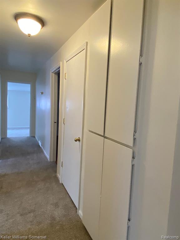 8662 PAIGE Avenue, Warren, MI 48089 — Photo 13