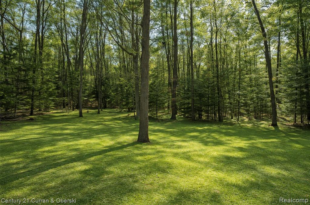 8135 Hillcrest Road, Roscommon, MI 48653 — Photo 5