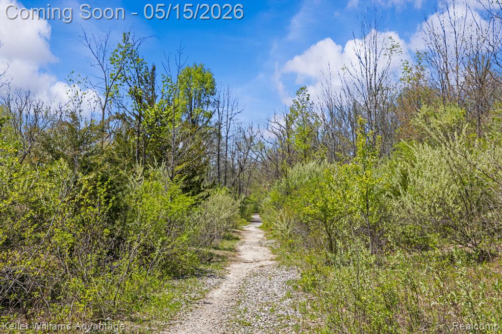 42505 Bradner Road, Northville, MI 48168 — Photo 49