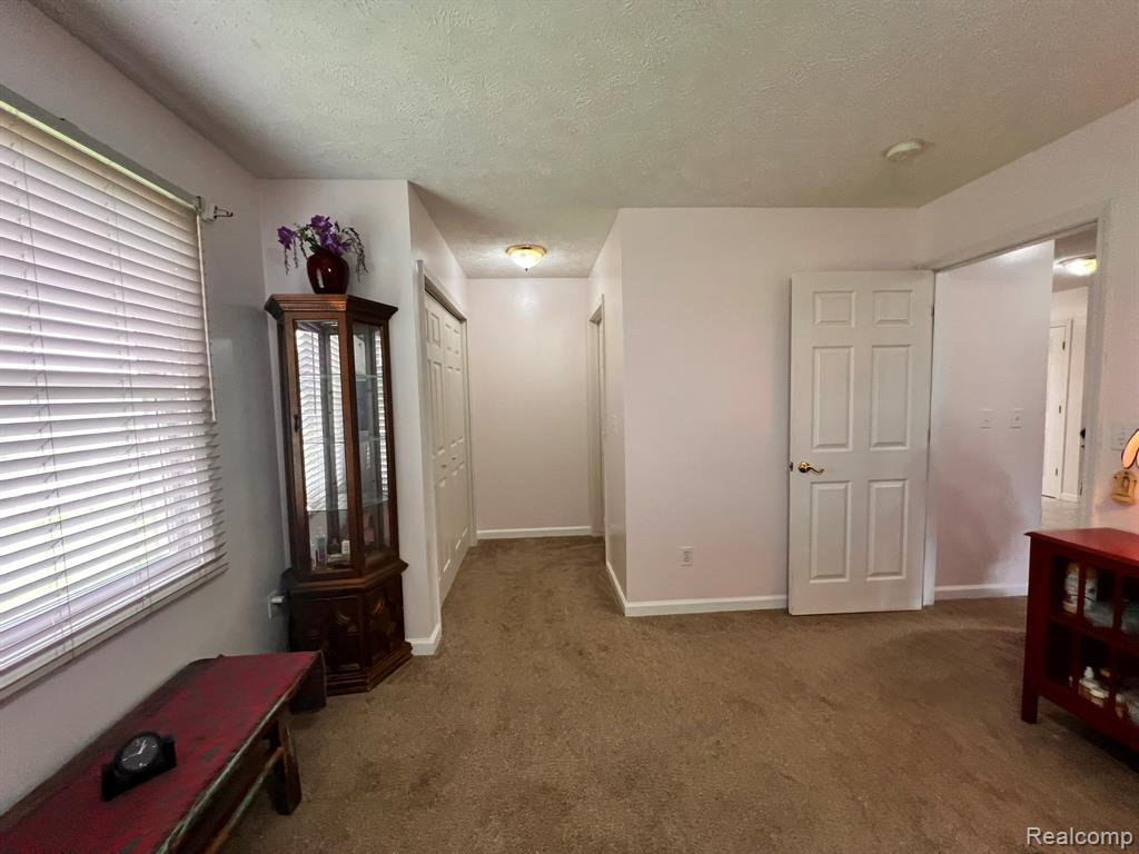 320 Roller Way, Mayville Vlg, MI 48744 — Photo 14