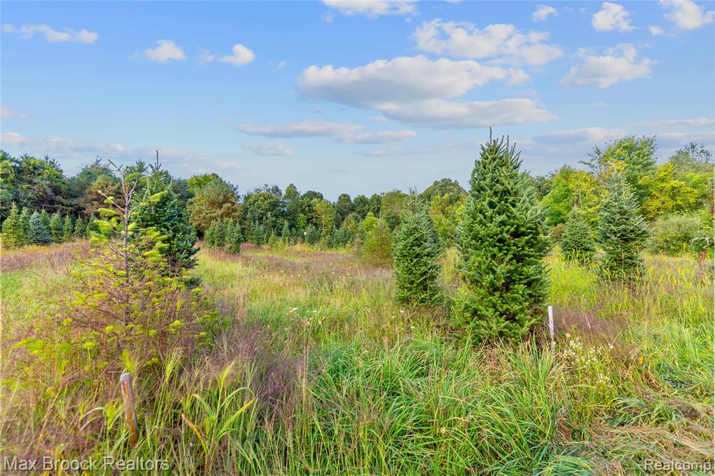 4700 Stanley Road, Columbiaville, MI 48421 — Photo 76