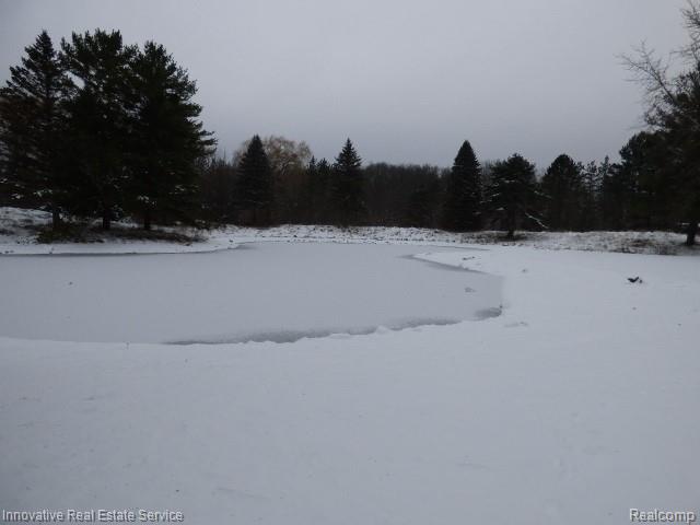 3820 Havens Road, Dryden, MI 48428 — Photo 43