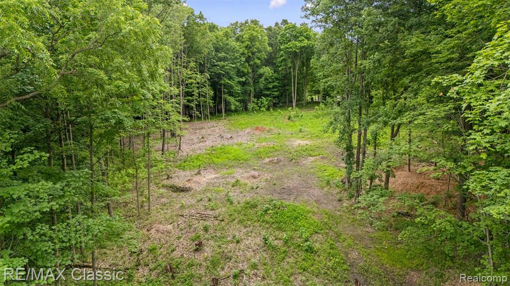 7888 N Territorial, Dexter, MI 48130 — Photo 5