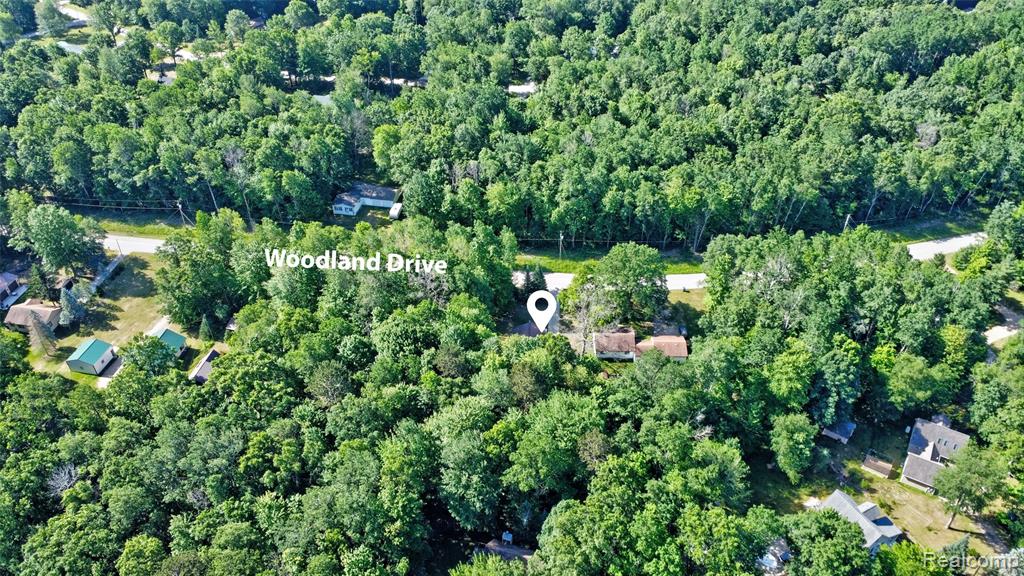 6250 Woodland Drive, Lake, MI 48632 — Photo 38