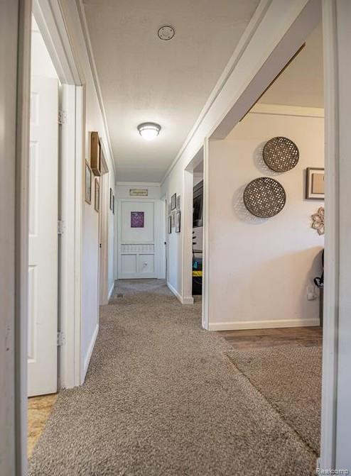 5430 Busch Road, Birch Run, MI 48415 — Photo 6