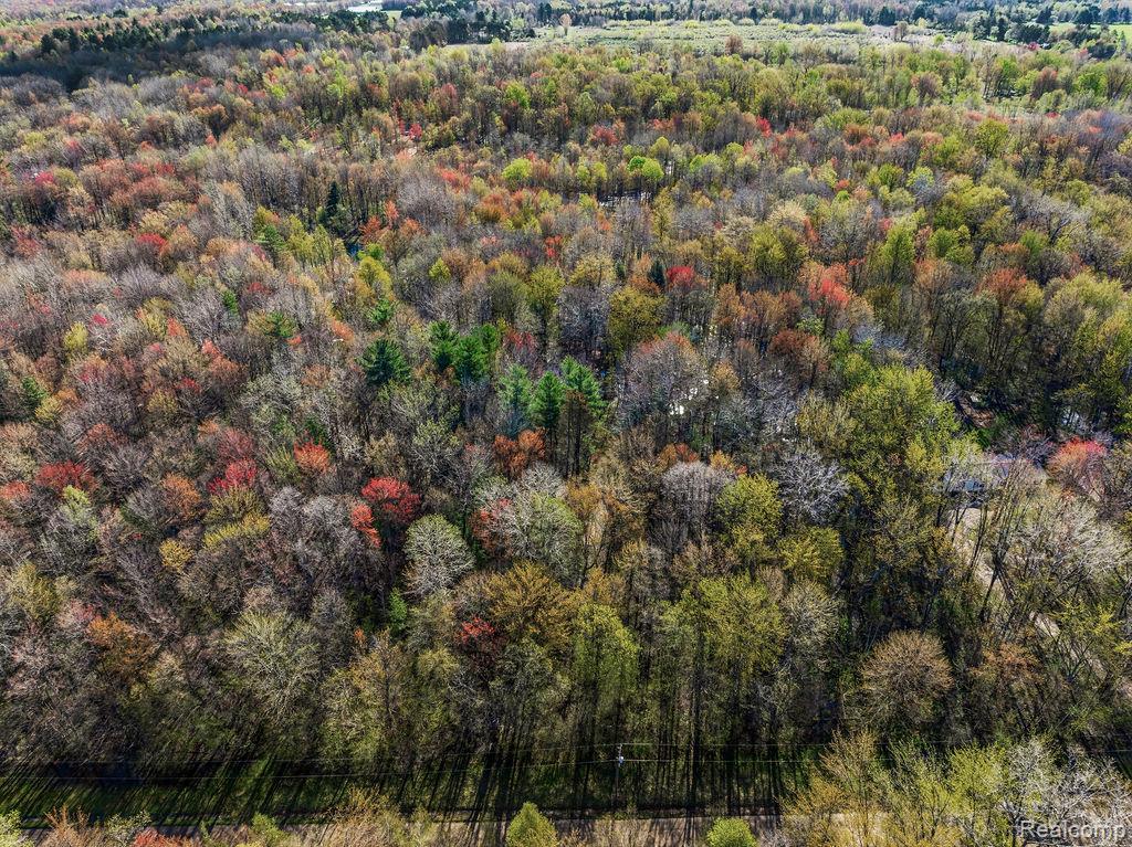 6799 Maplegrove Road, Vassar, MI 48768 — Photo 2