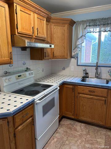 4038 WORTHINGTON Drive, Troy, MI 48085 — Photo 17