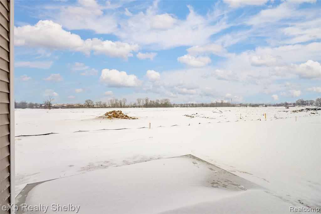 52169 Wellington Valley Drive, Macomb, MI 48042 — Photo 53