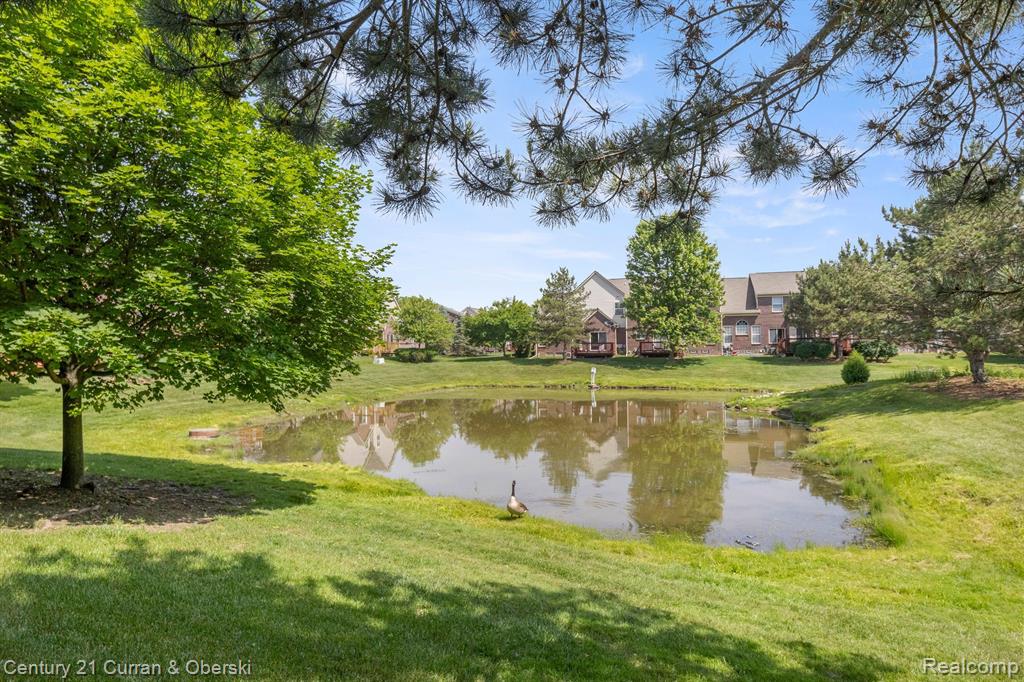 533 CONCORD Drive, Canton, MI 48188 — Photo 4