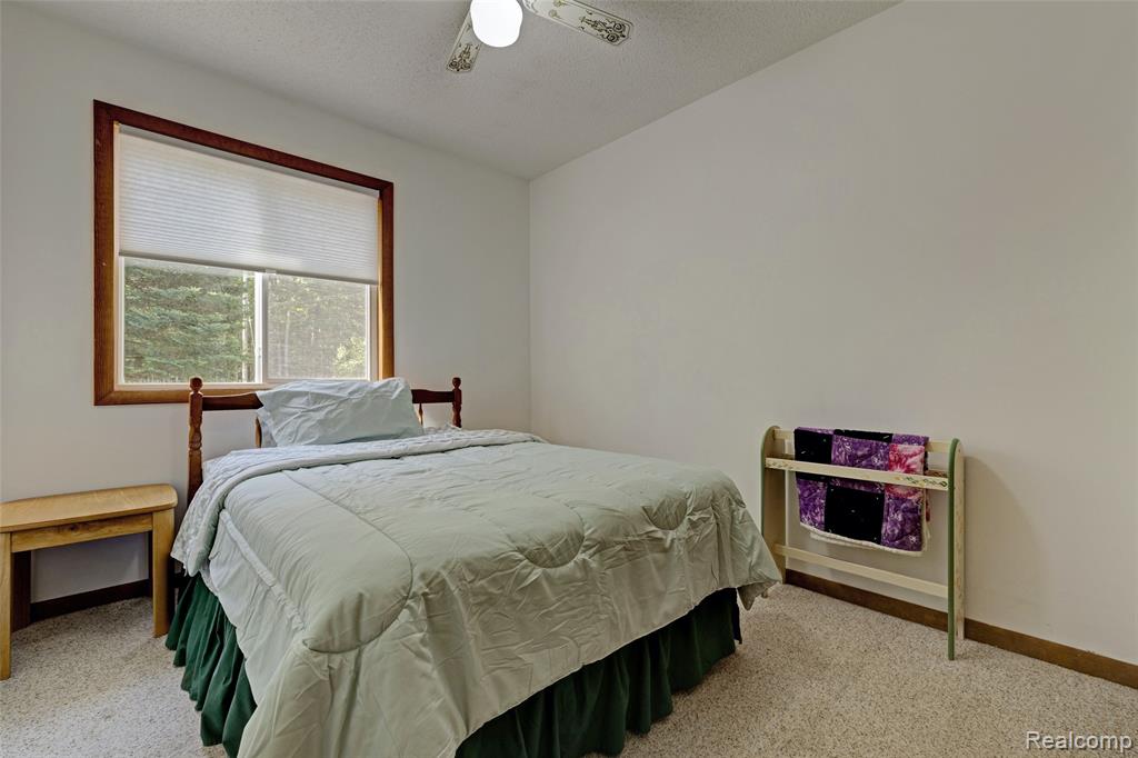 6250 Woodland Drive, Lake, MI 48632 — Photo 21