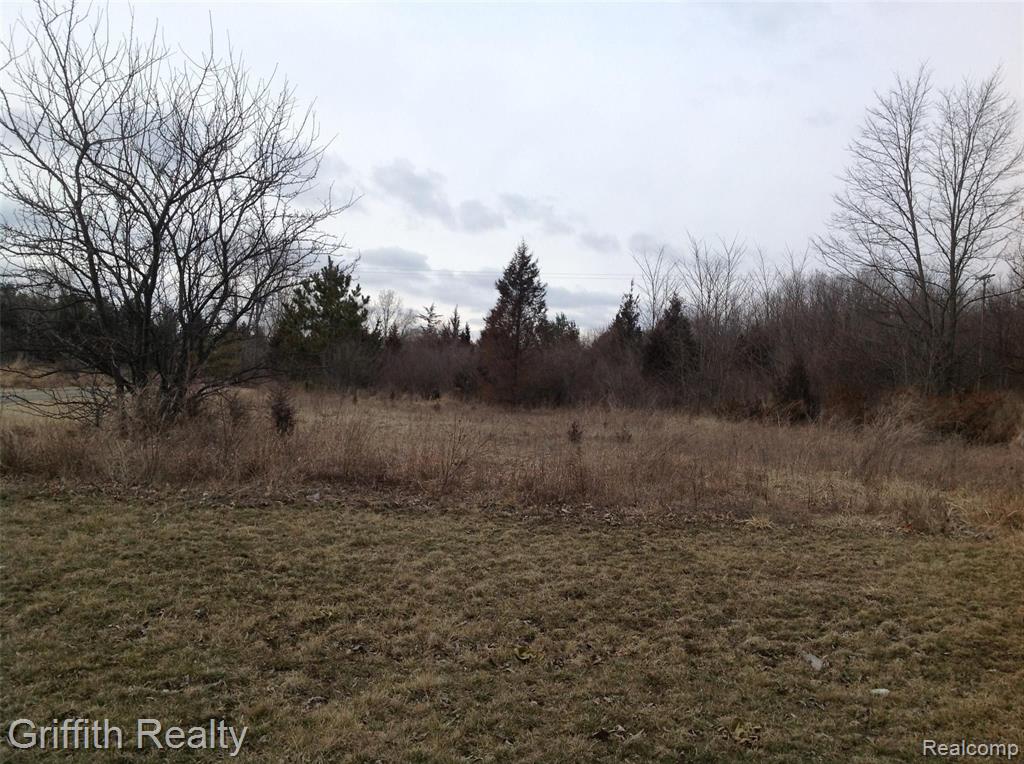 VL MASON RD, Howell, MI 48843 — Photo 5