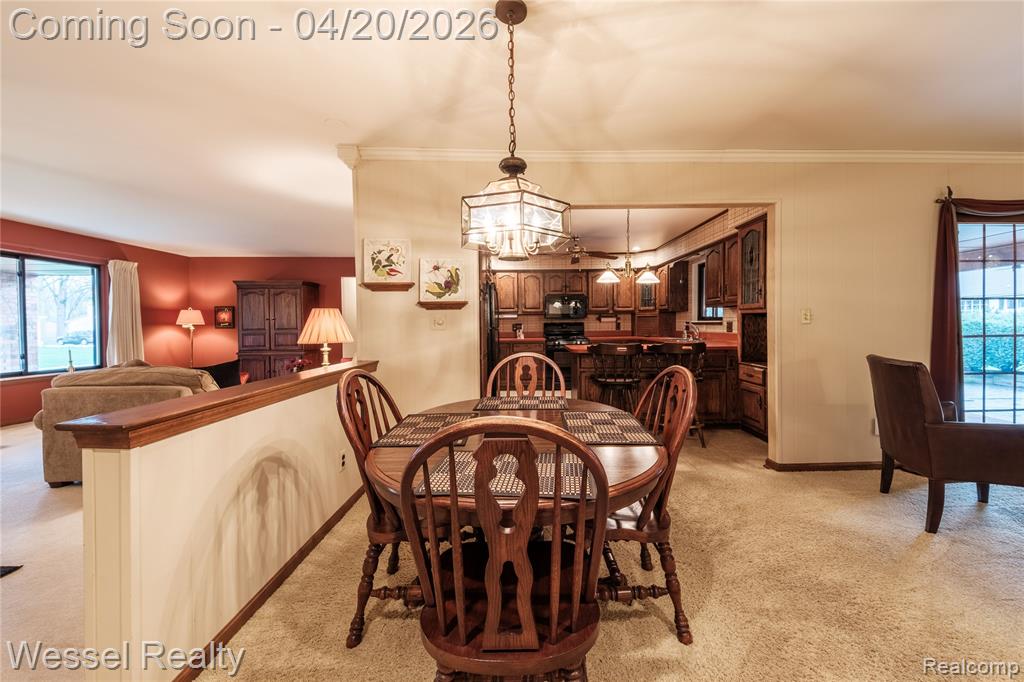 53659 Wolf Drive, Shelby Twp, MI 48316 — Photo 12