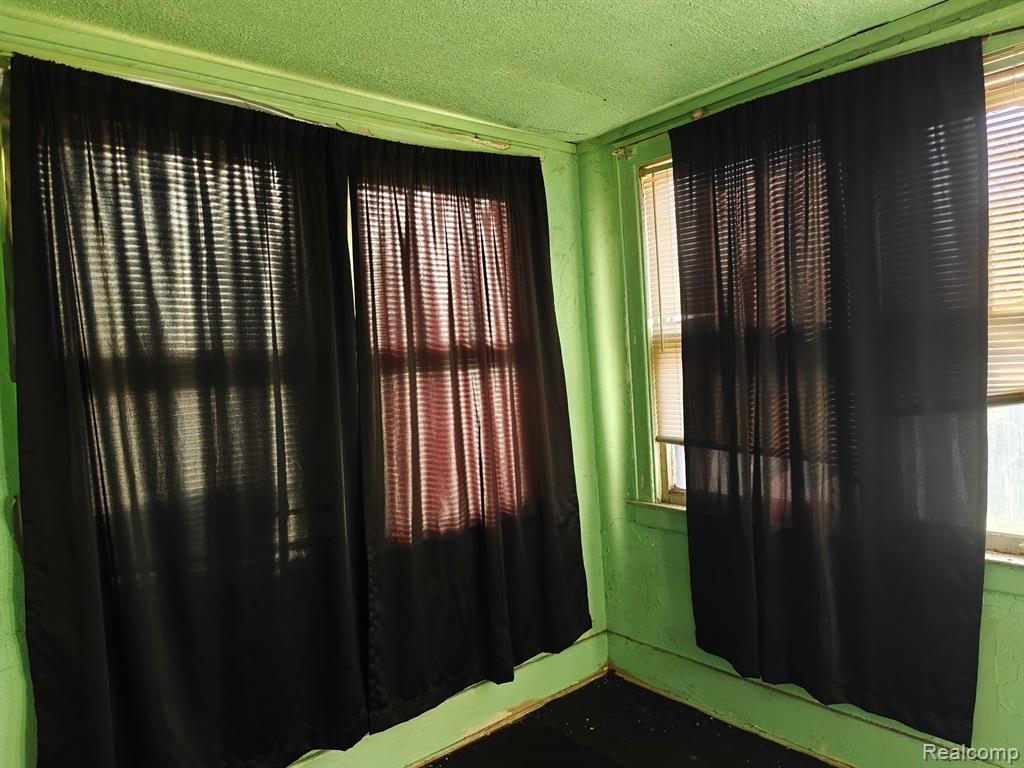 4317 VIRGINIA PARK Street, Detroit, MI 48204 — Photo 13