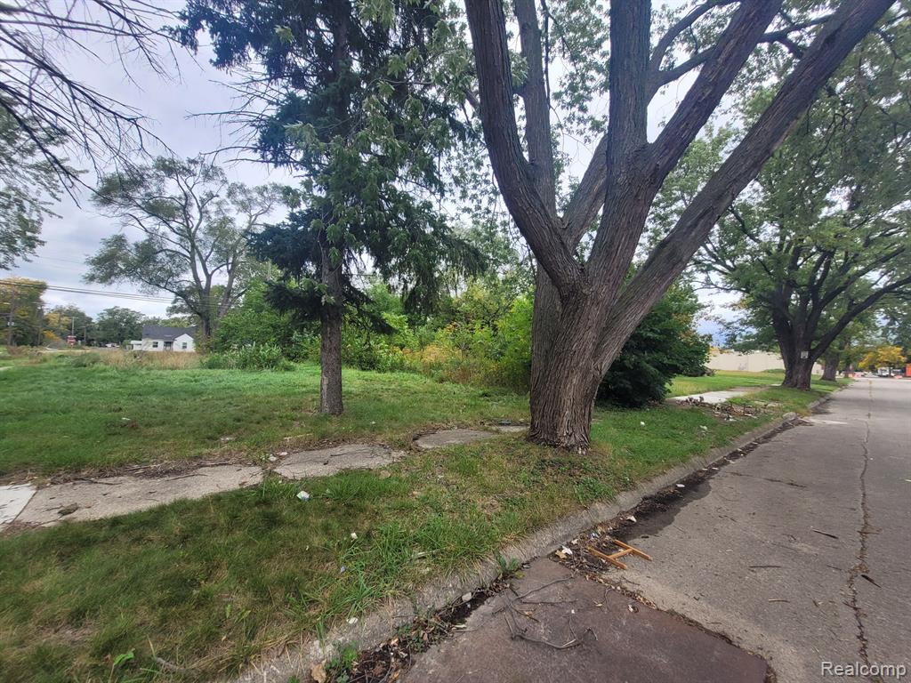 20511 CALDWELL Street, Detroit, MI 48234 — Photo 2