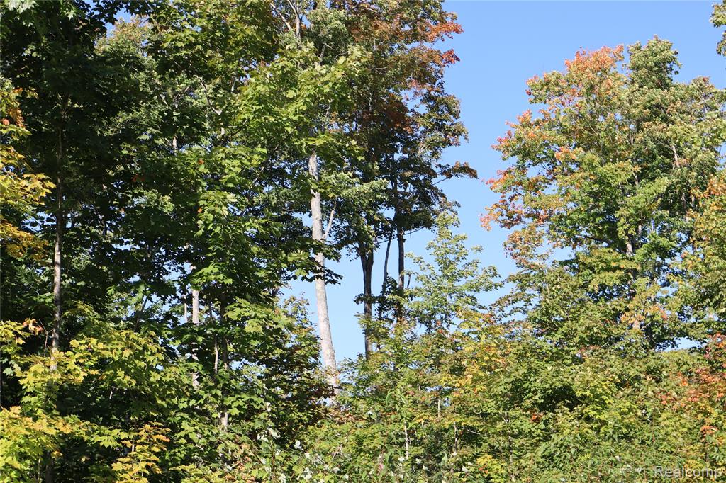 Lot D W Pendills Lake Road, Brimley, MI 49715 — Photo 23