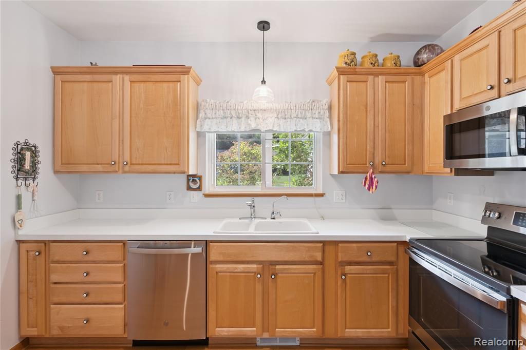 1441 Remsing Street, Hartland, MI 48353 — Photo 15
