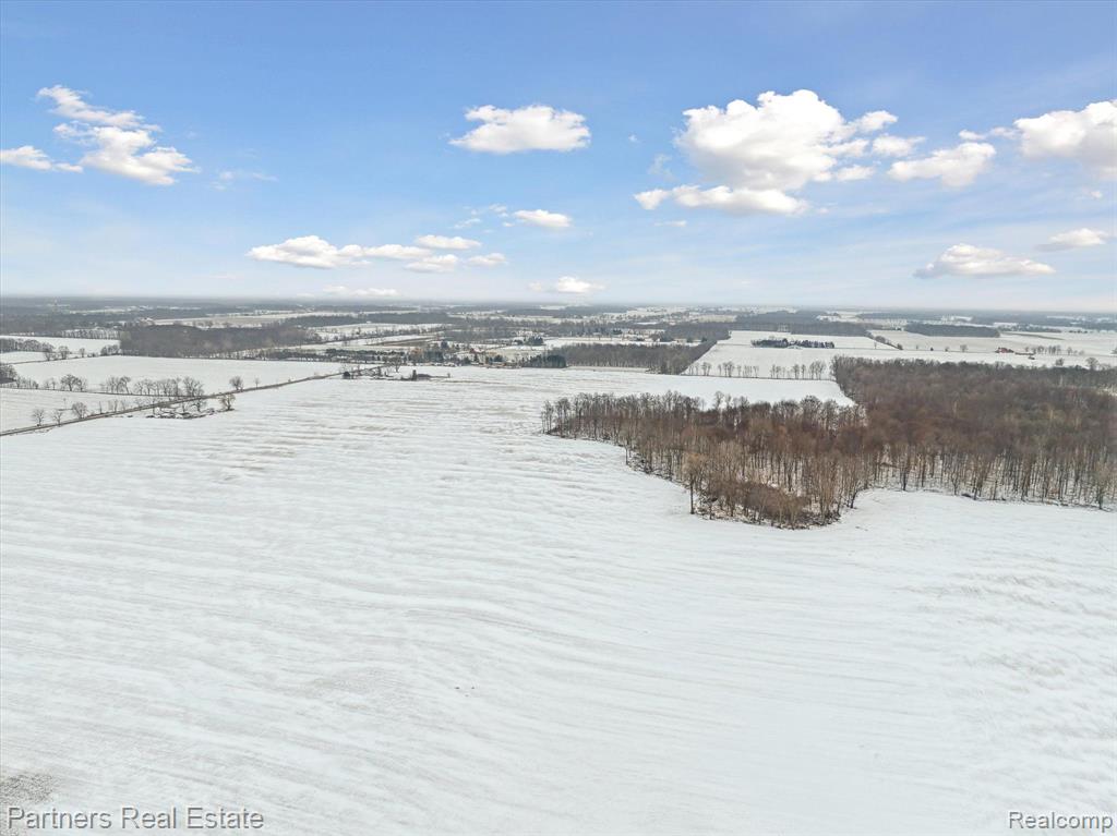 3349 E Howell Road, Webberville, MI 48892 — Photo 59