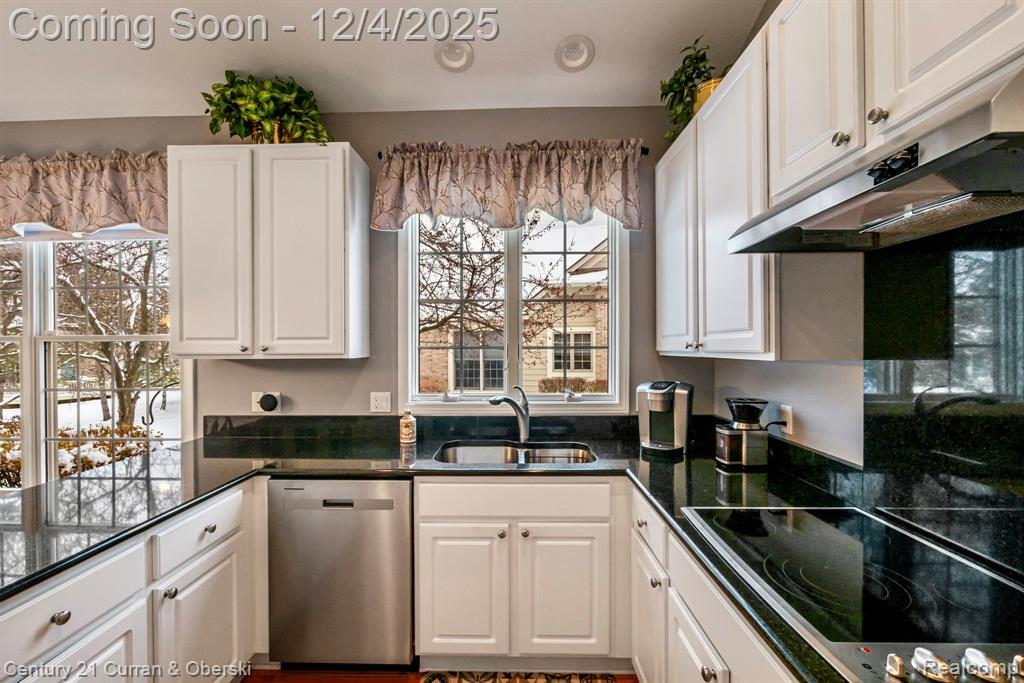 16925 Lochmoor Circle E, Northville, MI 48168 — Photo 22