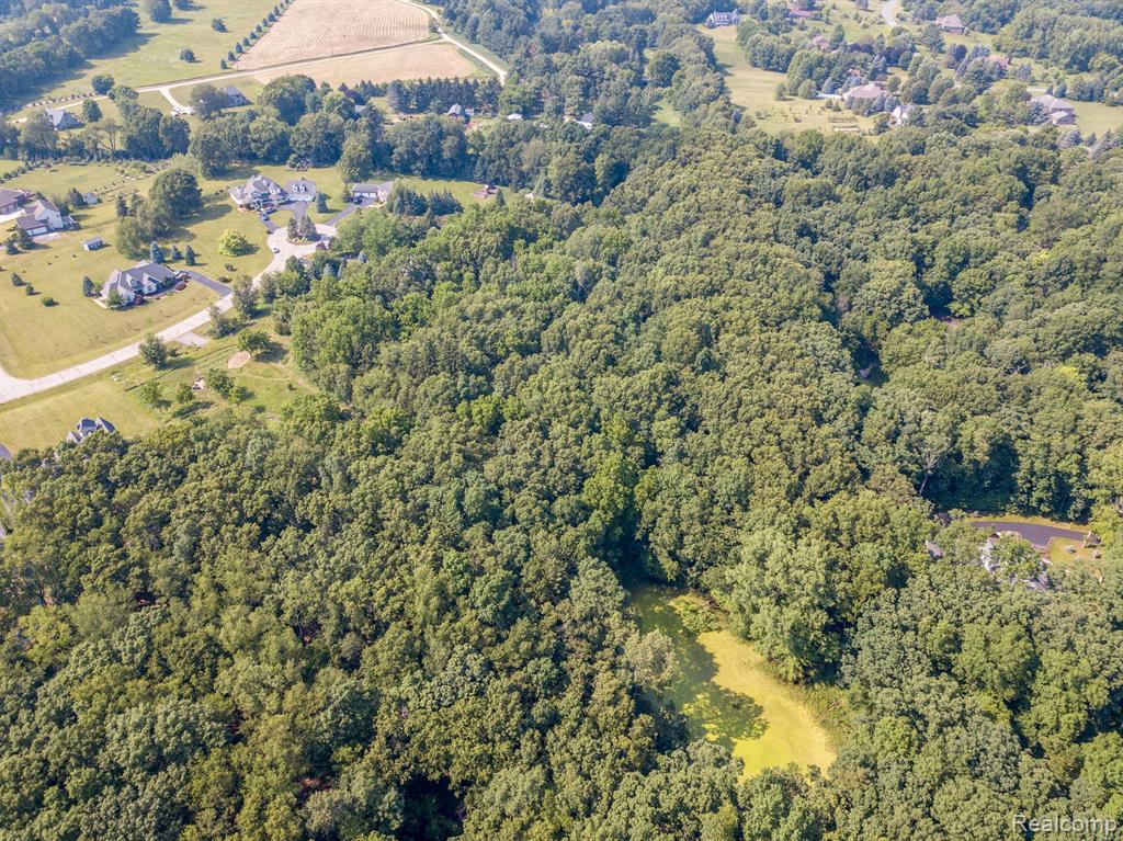 8045 TRAIL Ridge, Dexter, MI 48130 — Photo 5