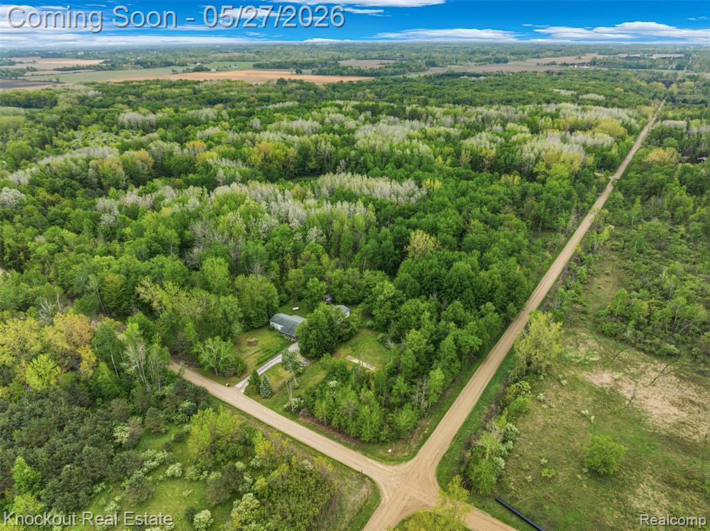 6512 Center Line Road, Kingston, MI 48741 — Photo 35