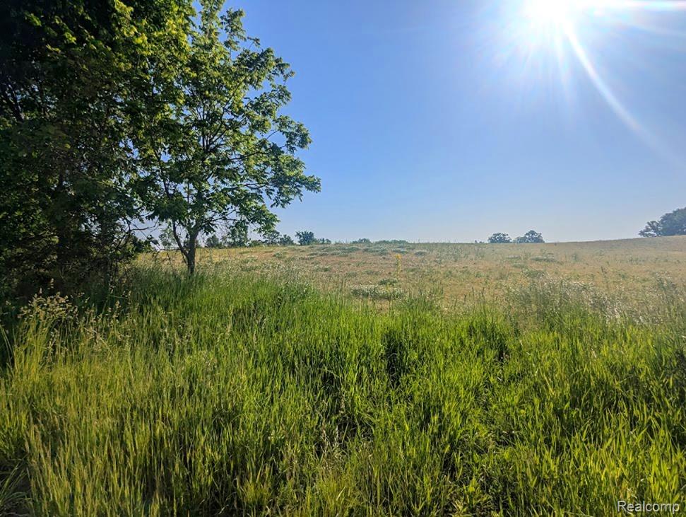 Parcel A - Rolston Road, Linden, MI 48451 — Photo 13