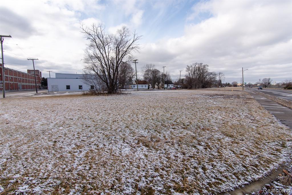8511 LONYO Street, Dearborn, MI 48126 — Photo 5