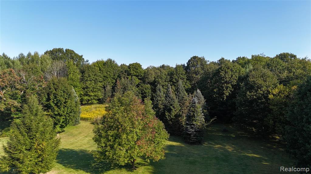 2843 North Branch Rd., North Branch, MI 48461 — Photo 43