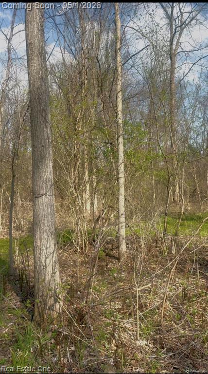 760 E Snell Road, Rochester, MI 48306 — Photo 3