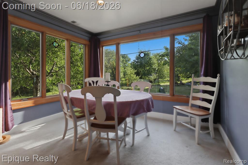 21085 Metroview Road, Farmington, MI 48335 — Photo 19
