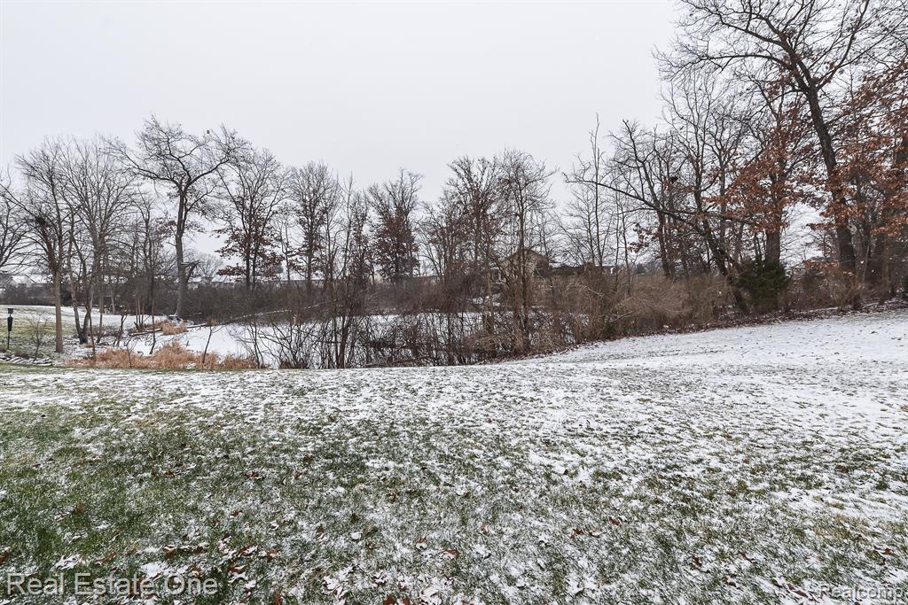 941 PERSIMMON Drive, Brighton, MI 48116 — Photo 44