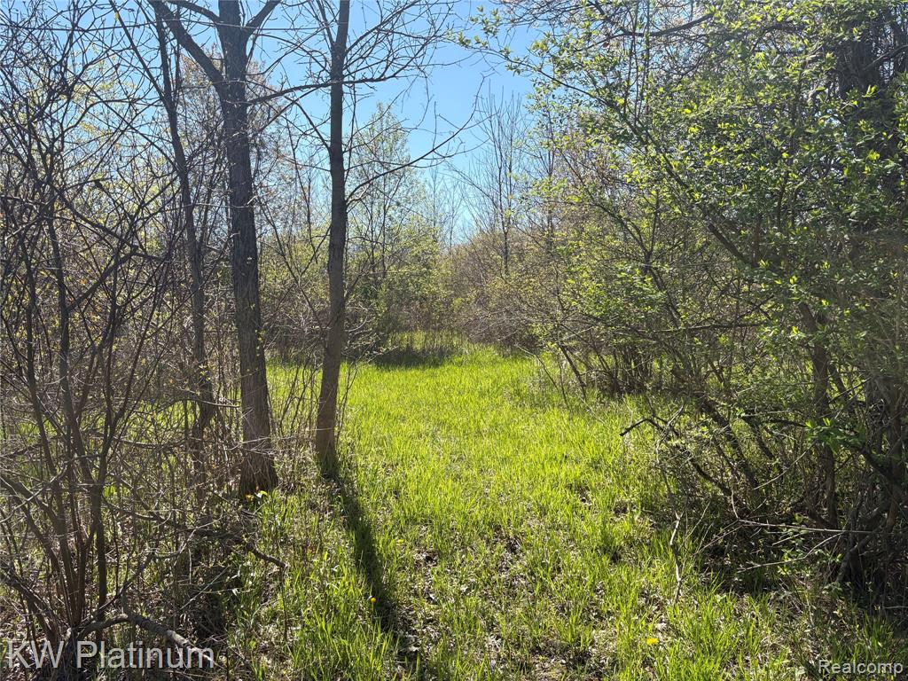 Parcel C Wicha Drive, Burtchville, MI 48059 — Photo 17