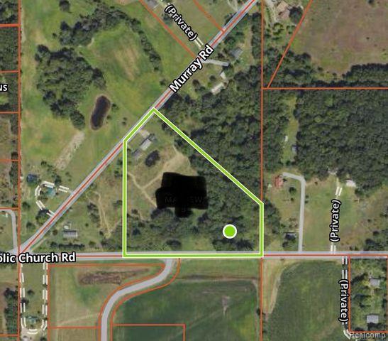 1650 MURRAY Road, Dansville, MI 48819 — Photo 2