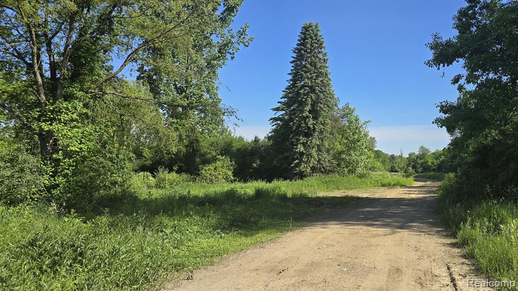 4545 Dexter Pinckney, Dexter, MI 48130 — Photo 11