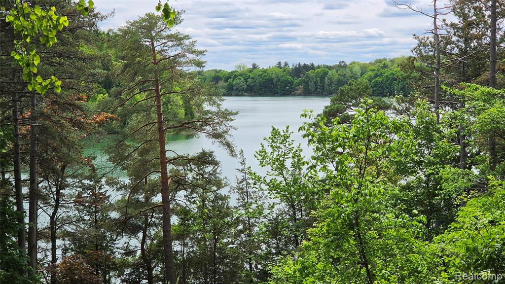 2323 Addaleen Road, Highland, MI — Photo 7