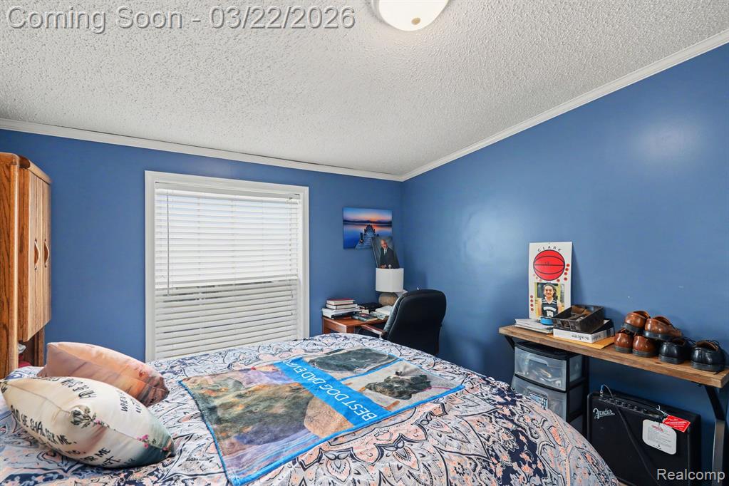 4458 Palms Road, Casco, MI 48064 — Photo 17