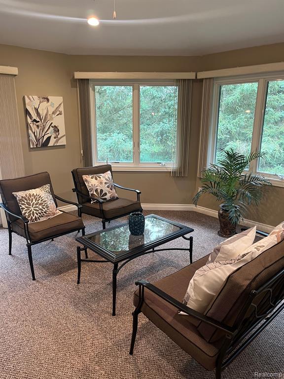 4272 S DUFFIELD Road, Flushing, MI 48433 — Photo 29