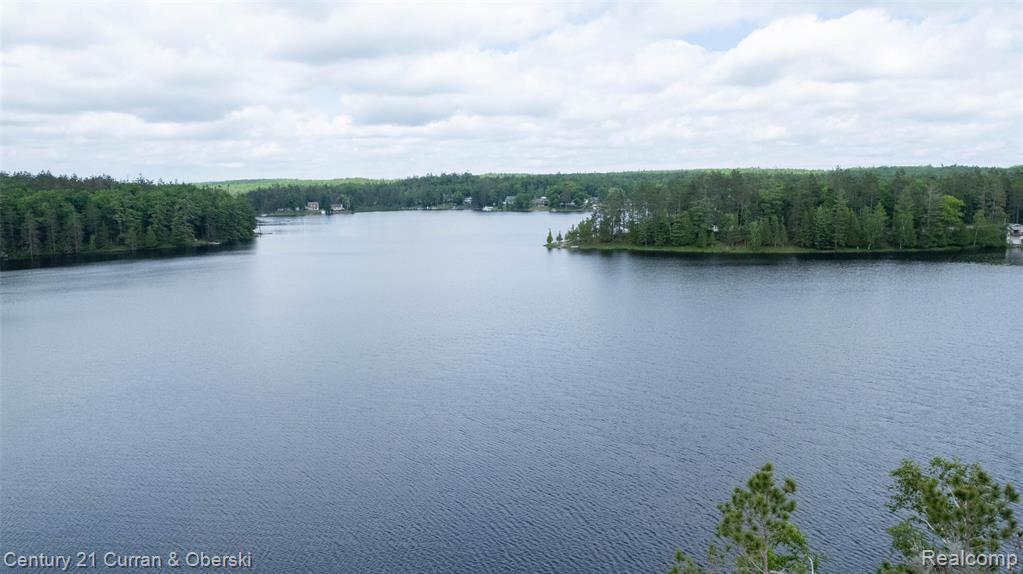 8775 Winding Ridge Drive, Millersburg, MI 49759 — Photo 52