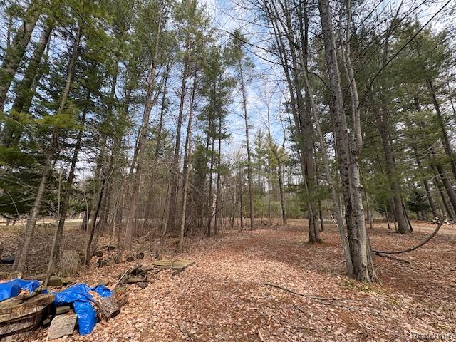 3615 Pinelands Point Road, Gladwin, MI 48624 — Photo 5
