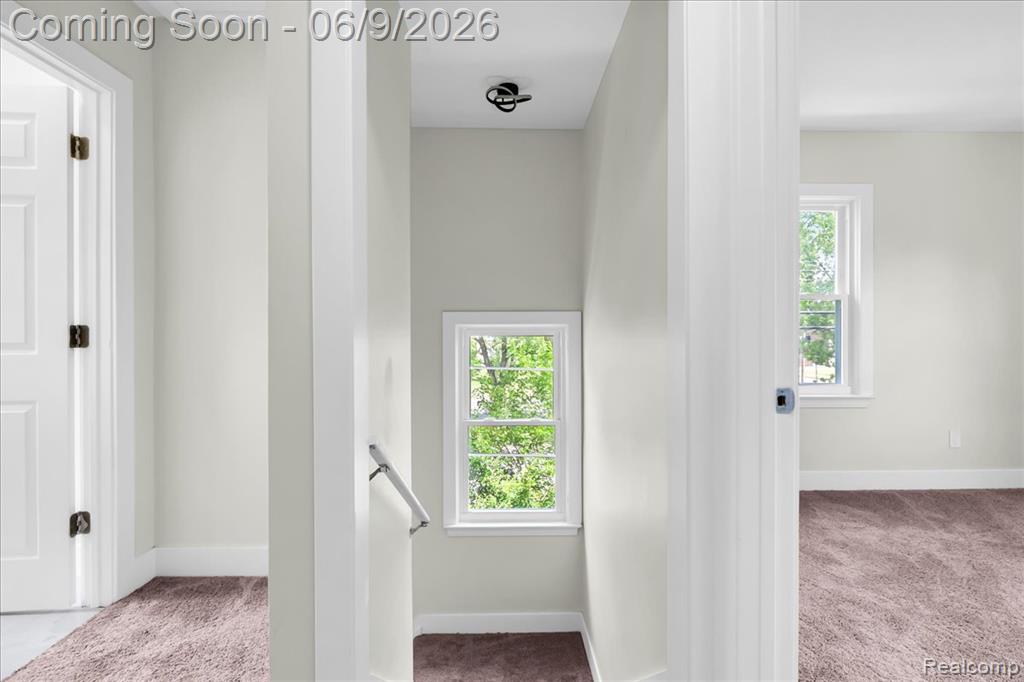 16904 Pierson Street, Detroit, MI 48219 — Photo 17