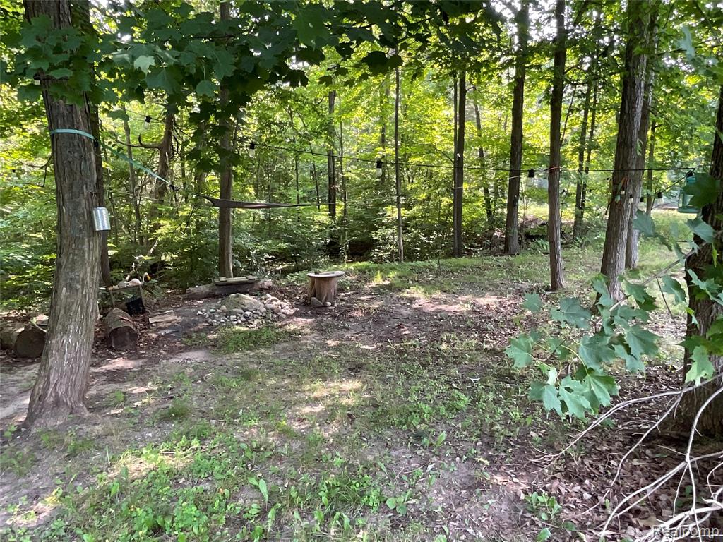 3425 Sutton Road, Dryden, MI 48428 — Photo 41