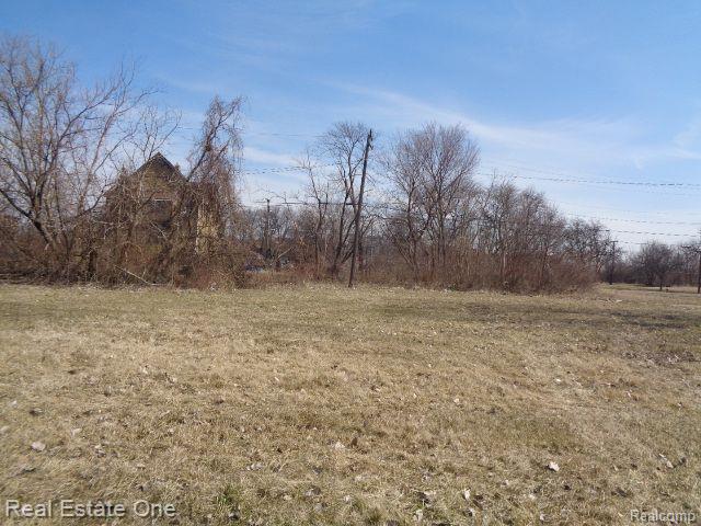 570 CONCORD Street, Detroit, MI 48207 — Photo 2
