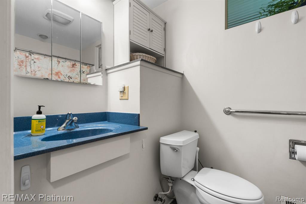 6 Salem Court, Ann Arbor, MI 48104 — Photo 22