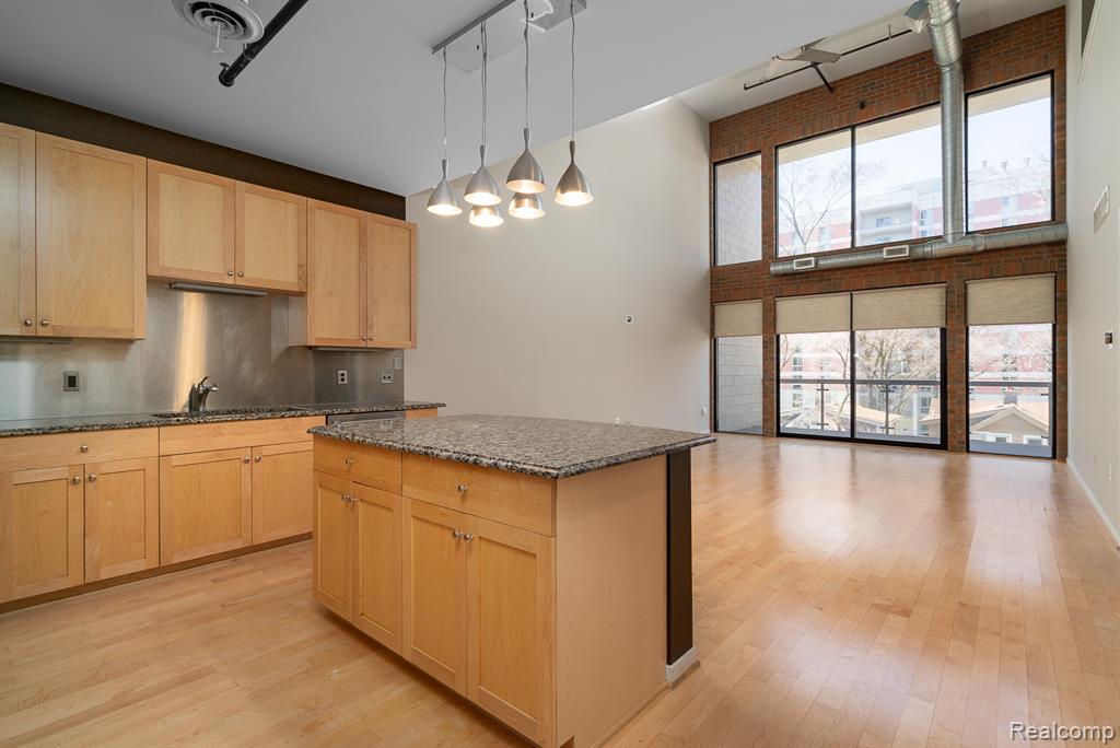 610 #204 S. Troy, Royal Oak, MI 48067 — Photo 5