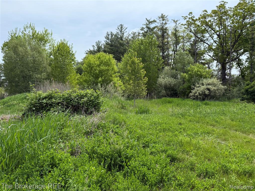 3020 Merwin Road, Lapeer, MI, 48446