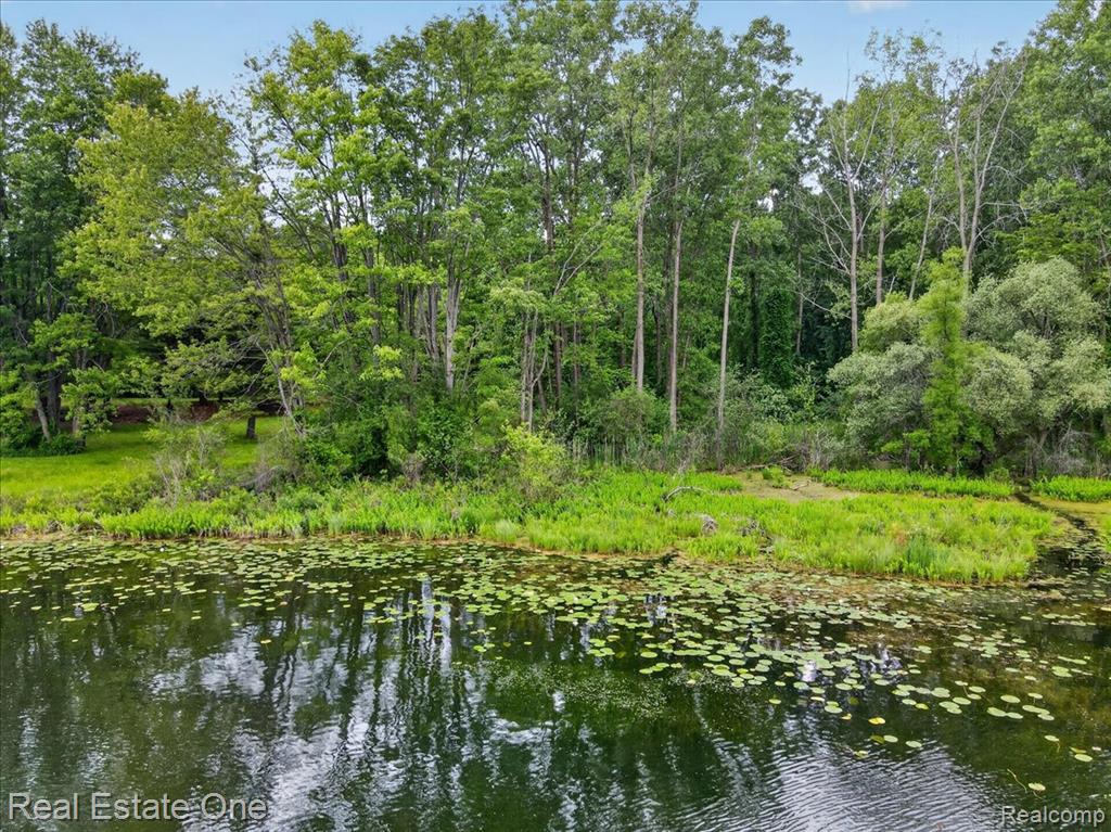 425 Courtney Road, Leonard, MI 48367 — Photo 85