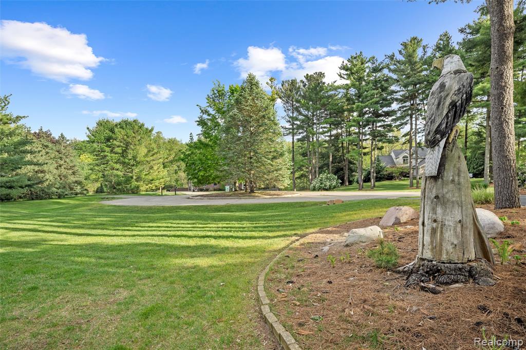 10099 Fernbrooke Drive, Brighton, MI 48116 — Photo 8